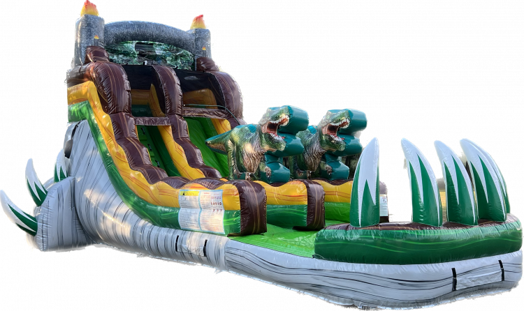 17 Dino Dive Single Lane Slide