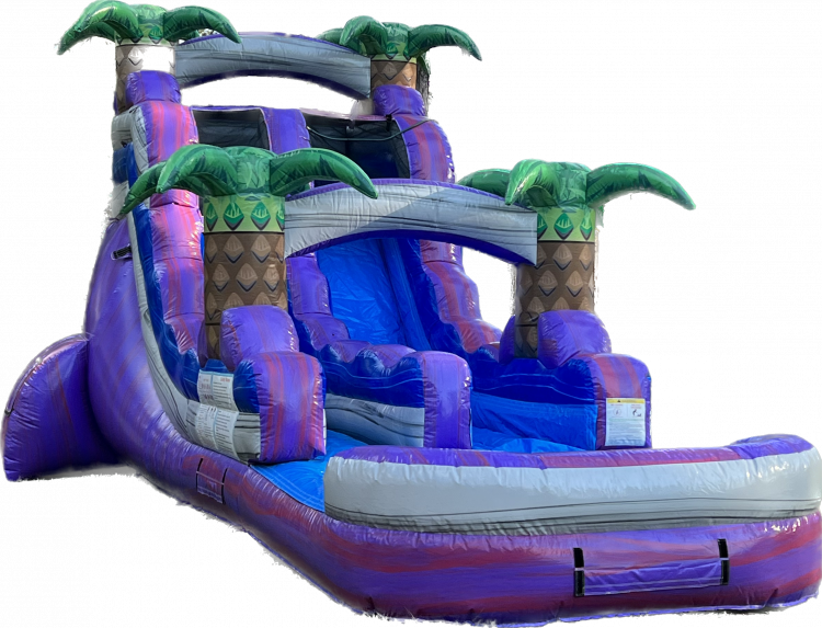 16 Purple Plunge Single Lane Slide