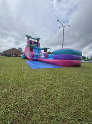 IMG 3106 1750388787 24 Pink Crush Single Lane Hybrid